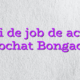 Idei de job de acasa videochat Bongacams