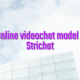 Info on Online videochat model webcam Strichat