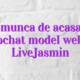 Loc de munca de acasa online videochat model webcam LiveJasmin