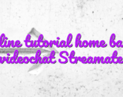 Online tutorial home based videochat Streamate