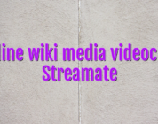 Online wiki media videochat Streamate