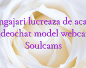 Angajari lucreaza de acasa videochat model webcam Soulcams