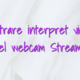 Inregistrare interpret videochat model webcam Streamray