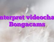 interpret videochat Bongacams