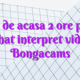 Job de acasa 2 ore pe zi videochat interpret videochat Bongacams