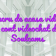 Job lucru de acasa videochat Creare cont videochat de acasa Soulcams