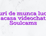 Locuri de munca lucrezi acasa videochat Soulcams