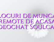 Locuri de munca remote de acasa videochat Soulcams