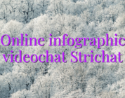 Online infographic videochat Strichat