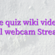 Online quiz wiki videochat model webcam Streamray