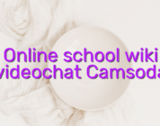 Online school wiki videochat Camsoda