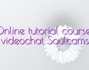 Online tutorial courses videochat Soulcams