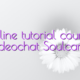 Online tutorial courses videochat Soulcams