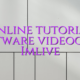 Online tutorial software videochat Imlive