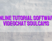 Online tutorial software videochat Soulcams