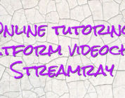 Online tutoring platform videochat Streamray