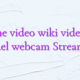 Online video wiki videochat model webcam Streamray