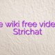 Online wiki free videochat Strichat