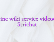 Online wiki service videochat Strichat