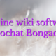 Online wiki software videochat Bongacams