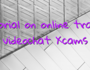 Tutorial on online trading videochat Xcams