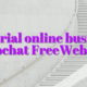 Tutorial online business videochat FreeWebcams