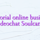 Tutorial online business videochat Soulcams