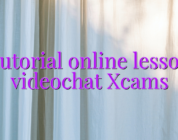 Tutorial online lesson videochat Xcams