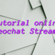 Tutorial online videochat Streamray