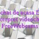 Videochat de acasa Devino interpret videochat FreeWebcams