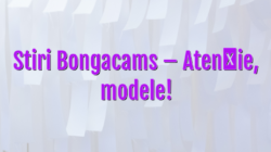 Stiri Bongacams – Atenție, modele!