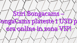 Stiri Bongacams – BongaCams plateste 1 USD pe ora online in zona VIP!