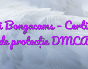 Stiri Bongacams – Certificat de protecție DMCA