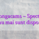 Stiri Bongacams – Spectacolele VIP nu mai sunt disponibile