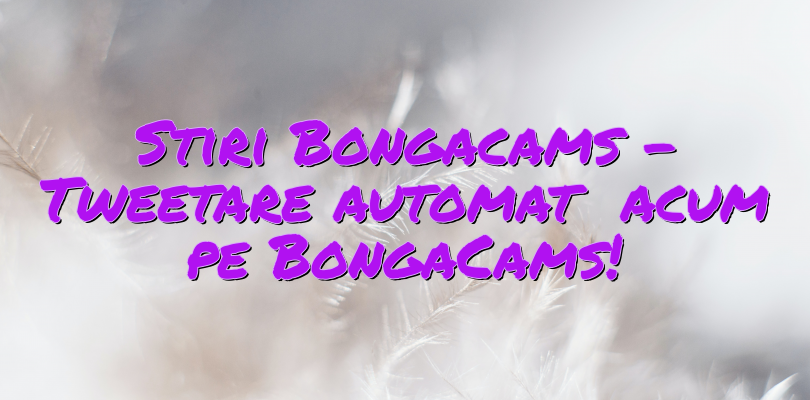 Stiri Bongacams – Tweetare automată acum pe BongaCams!