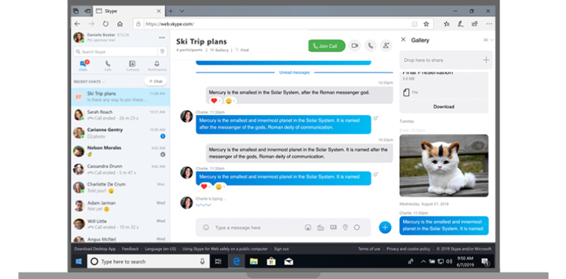 Emisiuni Skype pentru camsite – Aspectul paginii de profil